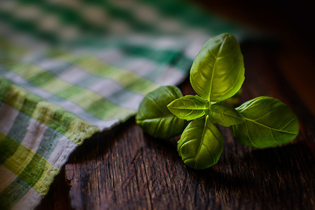 A small leaf on the table